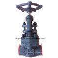 API602 Forged Carbon Steel A105 Thread End NPT Globe Valve